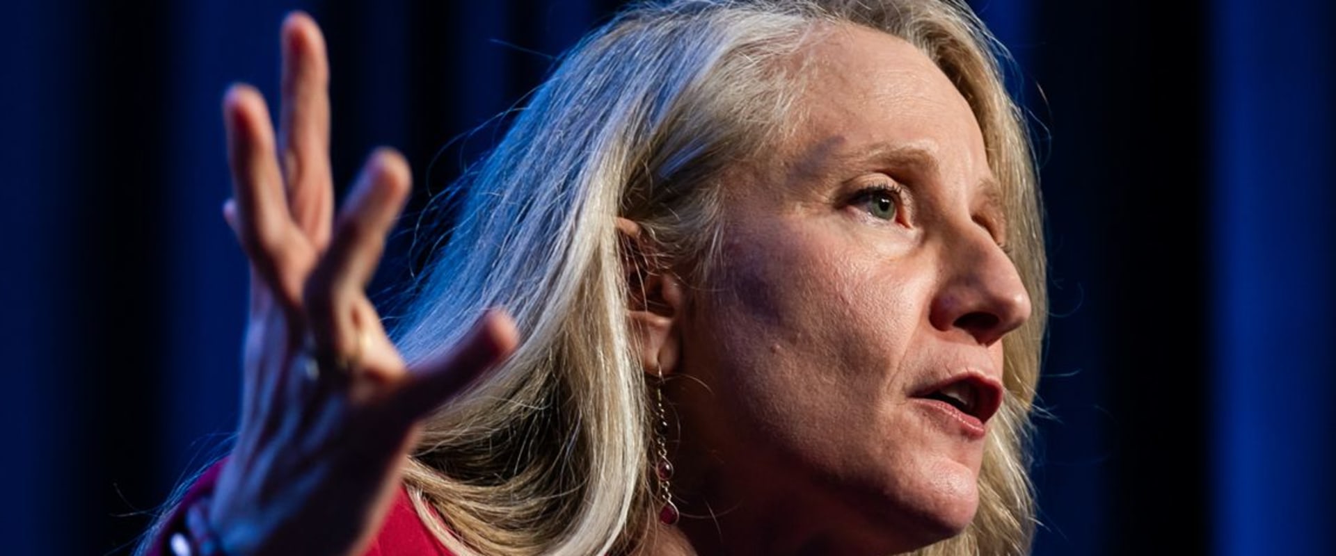 The Winning Strategies of Democratic Campaigns in Northern Virginia