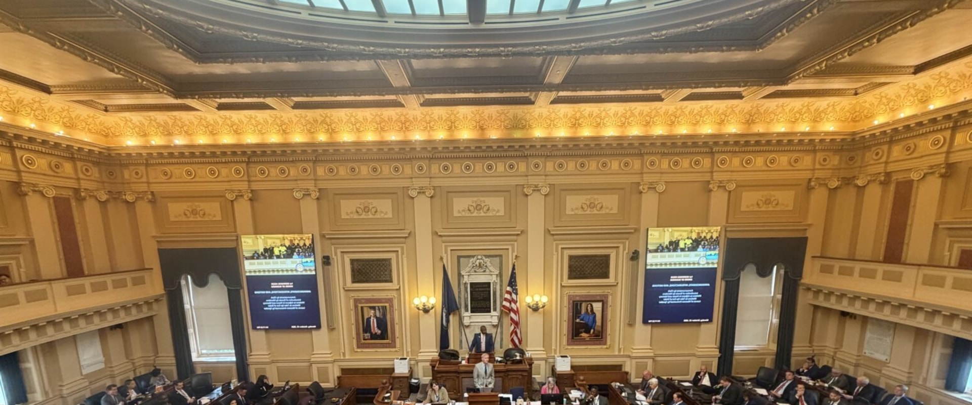 The Key Issues in Democratic Campaigns in Northern Virginia: An Expert's Perspective