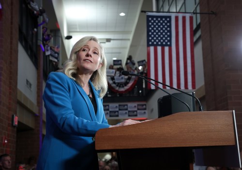 The Democratic Push for Environmental Action in Northern Virginia