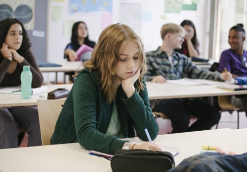 The Importance of Education in Northern Virginia: A Democratic Perspective